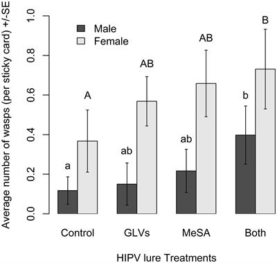 Host Plant Volatile Lures Attract Apanteles polychrosidis (Hymenoptera: Braconidae) to Ash Trees Infested With Caloptilia fraxinella (Lepidoptera: Gracillariidae)